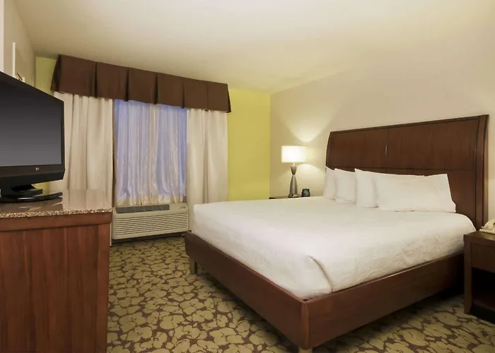 Hilton Garden Worth/fossil Creek Hotel