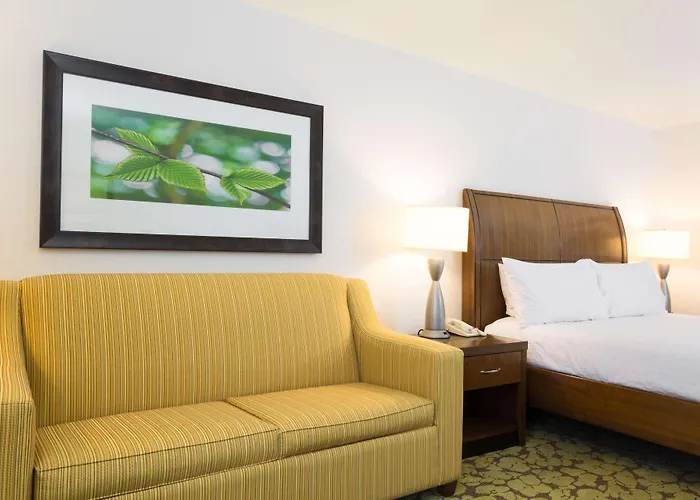 Hilton Garden Worth/fossil Creek 3* Fort Worth